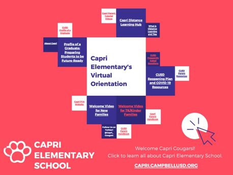 virtual_orientation_map.pdf
