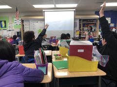 students raising their hands in class