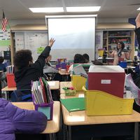 students raising their hands in class