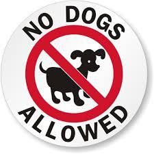 no dogs allowed